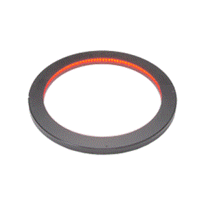 日本CCS西西斯  环型低角度光源   LDR-176RD2-LA1