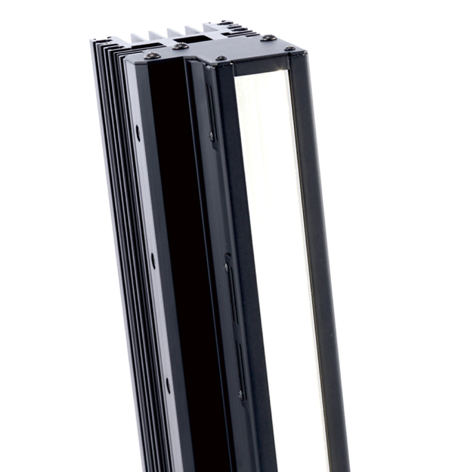 日本CCS西西斯  线光源      LNLP-600SW