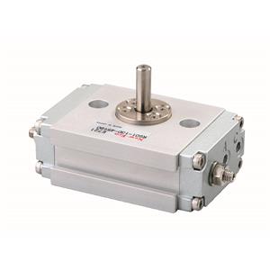 NEW-ERA新时代 RS01-13D-α+β 气动设备产品