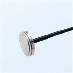 KYOWA共和电业  地球压力表  BED-A-500KP