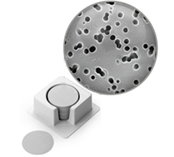 T-Dilex迪莱克   滤波器   PCTE