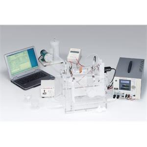 山本镀金   桶   B-50-KTSG251513