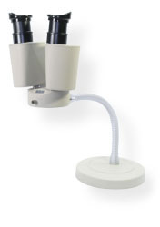 KIKUCHI菊池   显微镜  LM-CR-001